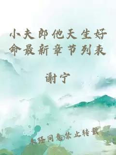 å°å¤«éä»å¤©çå¥½å½ææ°ç« èåè¡¨