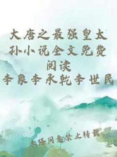 大唐之最强皇太孙小说全文免费阅读