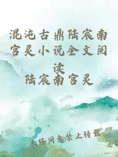 混沌古鼎陆宸南宫灵小说全文阅读